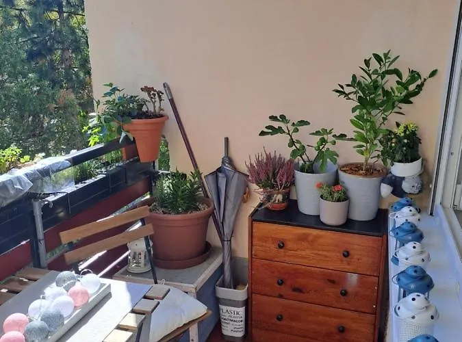 Appartement Cozy